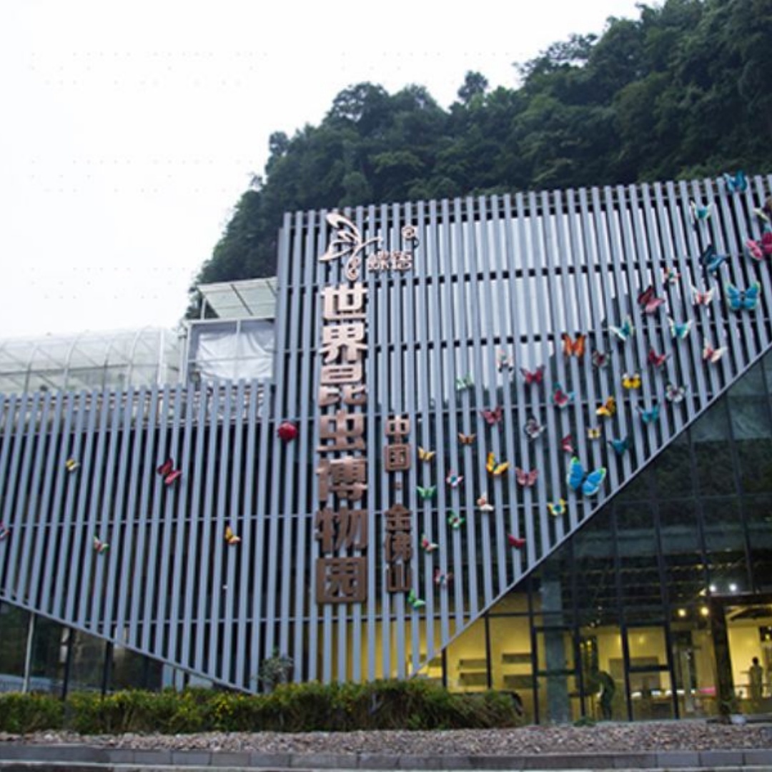 重庆市南川区蝶语昆虫博物馆照片与代表馆藏