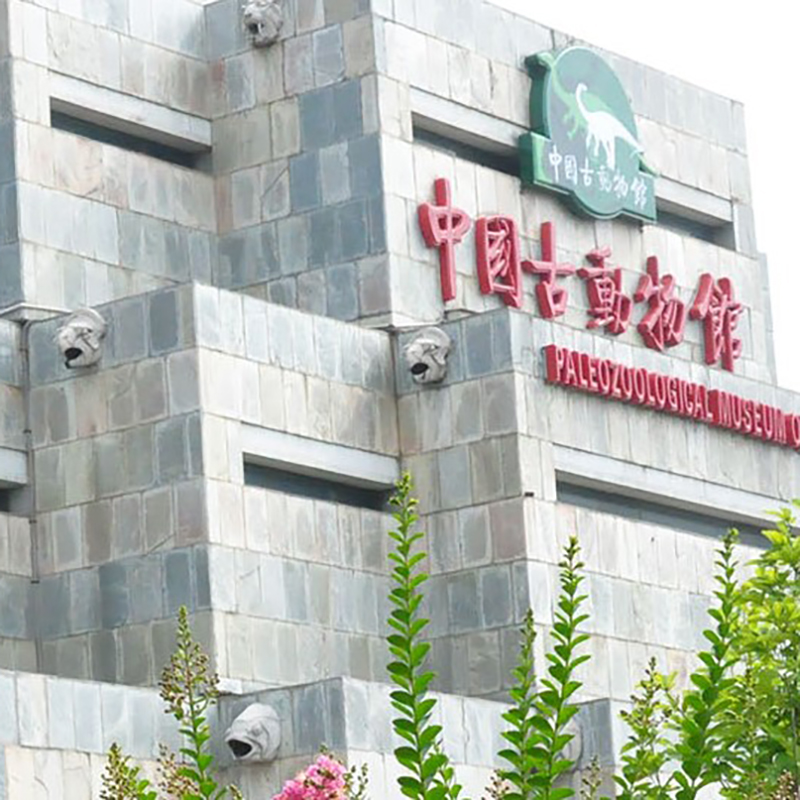 中国古动物馆照片与代表馆藏