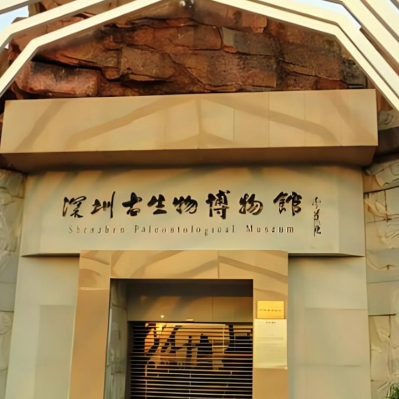 深圳古生物博物馆照片与代表馆藏