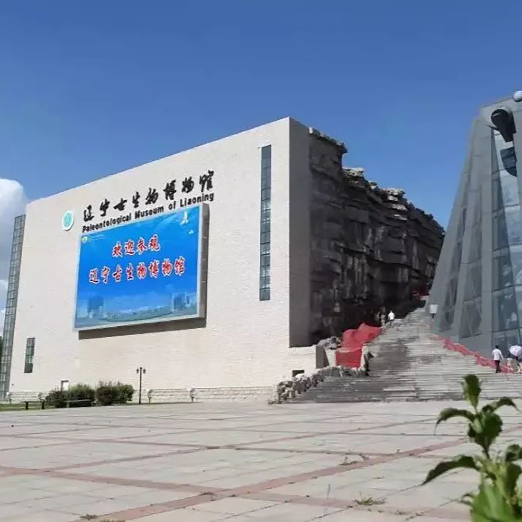 辽宁古生物博物馆照片与代表馆藏