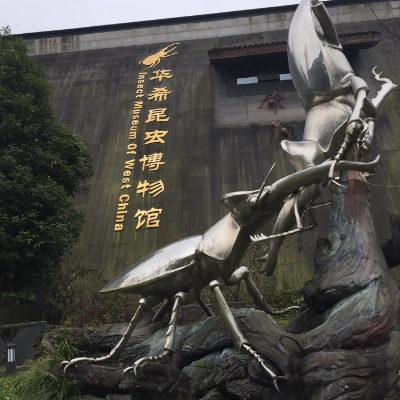 上饶市广信区昆虫博物馆照片与代表馆藏