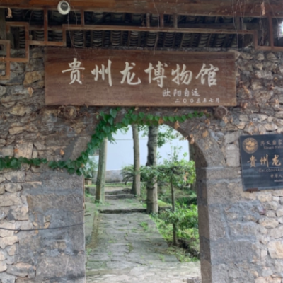 贵州龙博物馆照片与代表馆藏