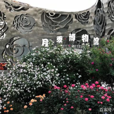 北京市大兴区月季博物馆照片与代表馆藏