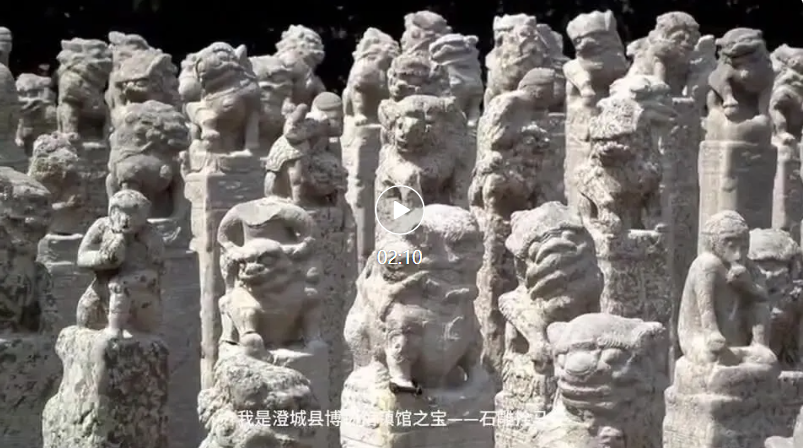 澄城县博物馆照片与代表馆藏