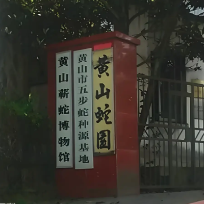 黄山蕲蛇博物馆照片与代表馆藏