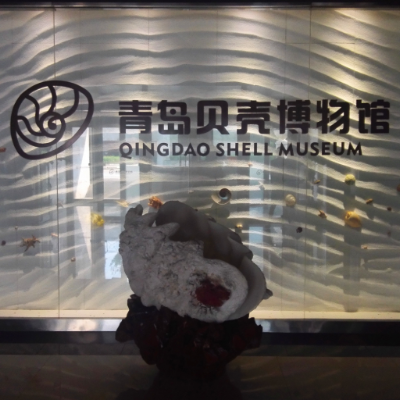 青岛贝壳博物馆照片与代表馆藏