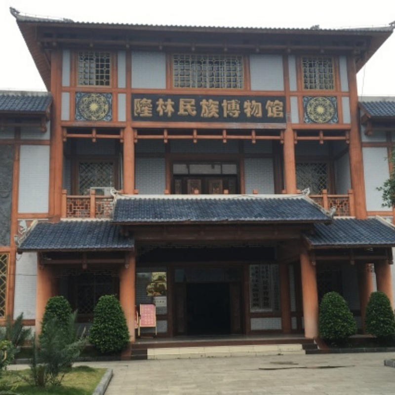 隆林各族自治县民族博物馆照片与代表馆藏
