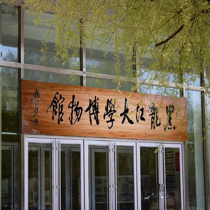 黑龙江大学博物馆照片与代表馆藏