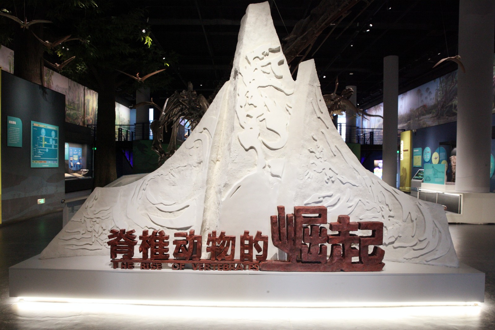 国家自然博物馆照片与代表馆藏