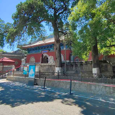 北京大觉寺与团城管理处照片与代表馆藏
