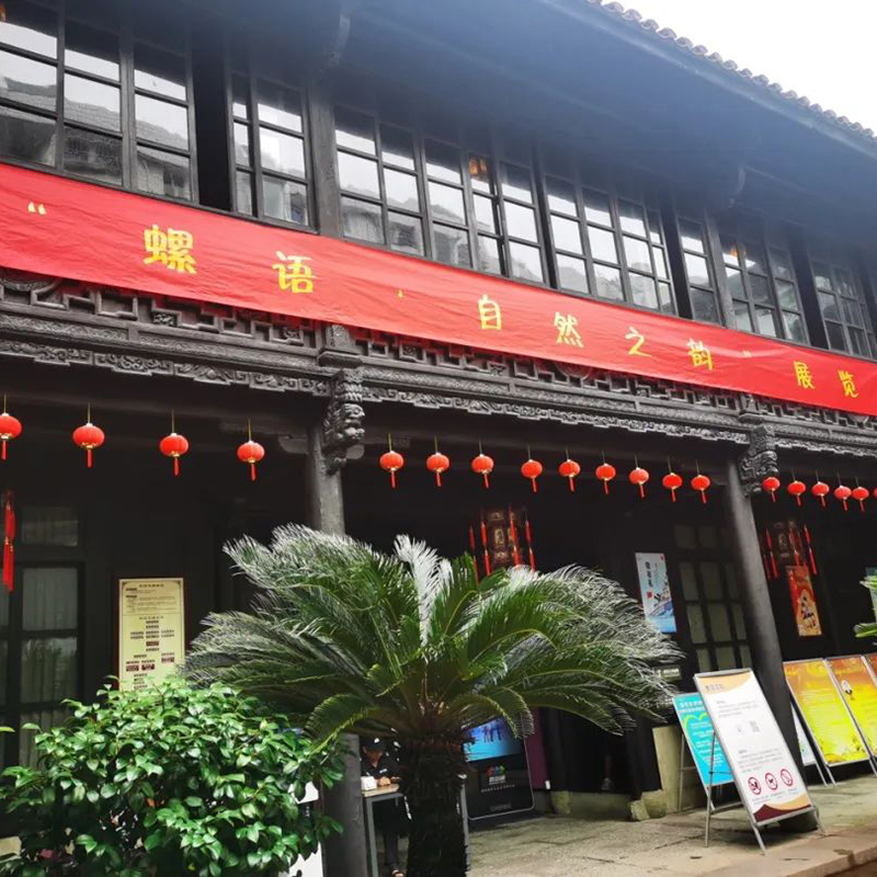 普陀区博物馆照片与代表馆藏