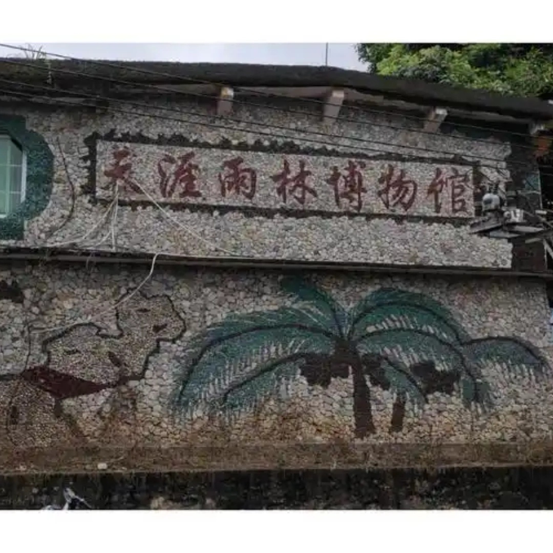海南天涯热带雨林博物馆照片与代表馆藏