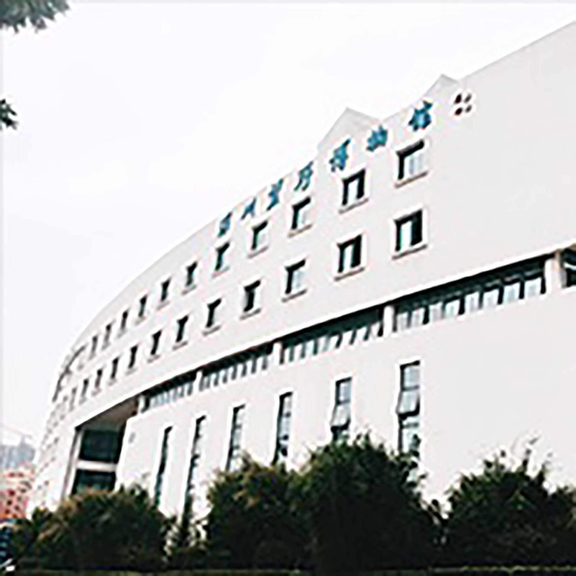 深圳望野博物馆照片与代表馆藏