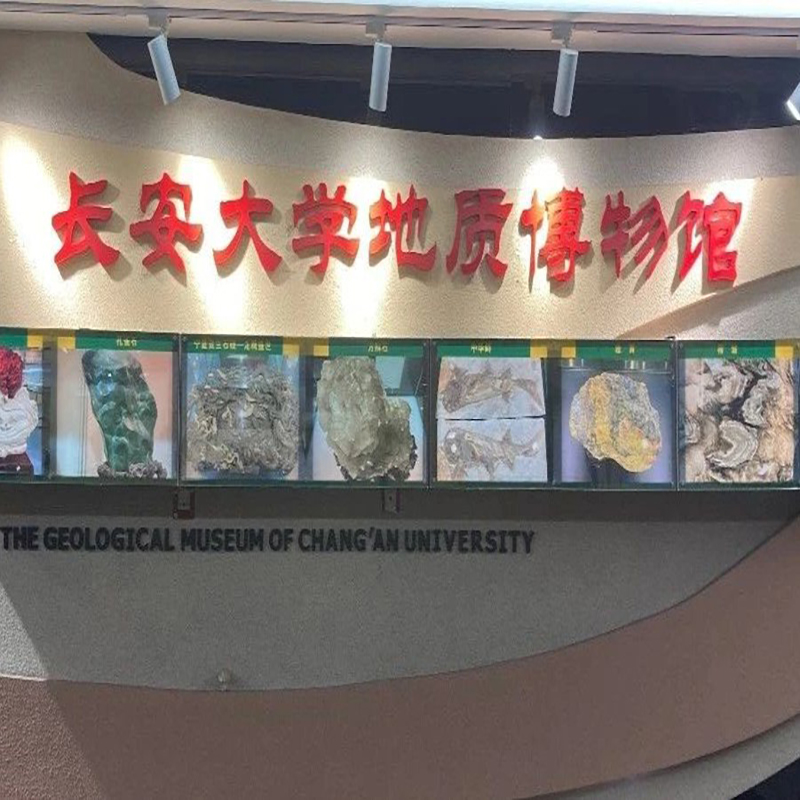 长安大学地质博物馆照片与代表馆藏