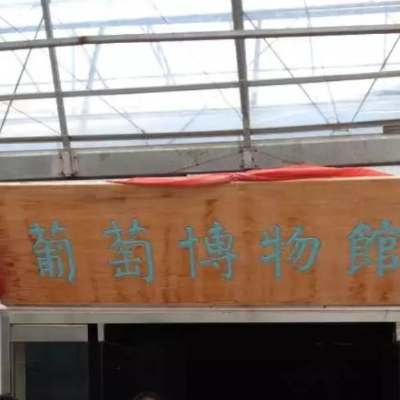 青岛大观园葡萄文化博物馆照片与代表馆藏