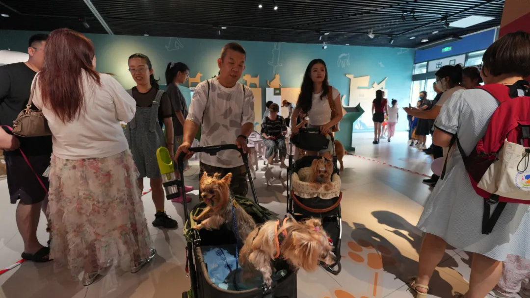 内蒙古自然博物馆照片与代表馆藏