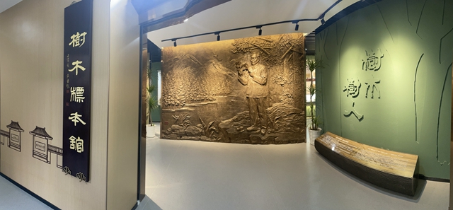 树木标本馆入口展景（南京林业大学馆方配图）