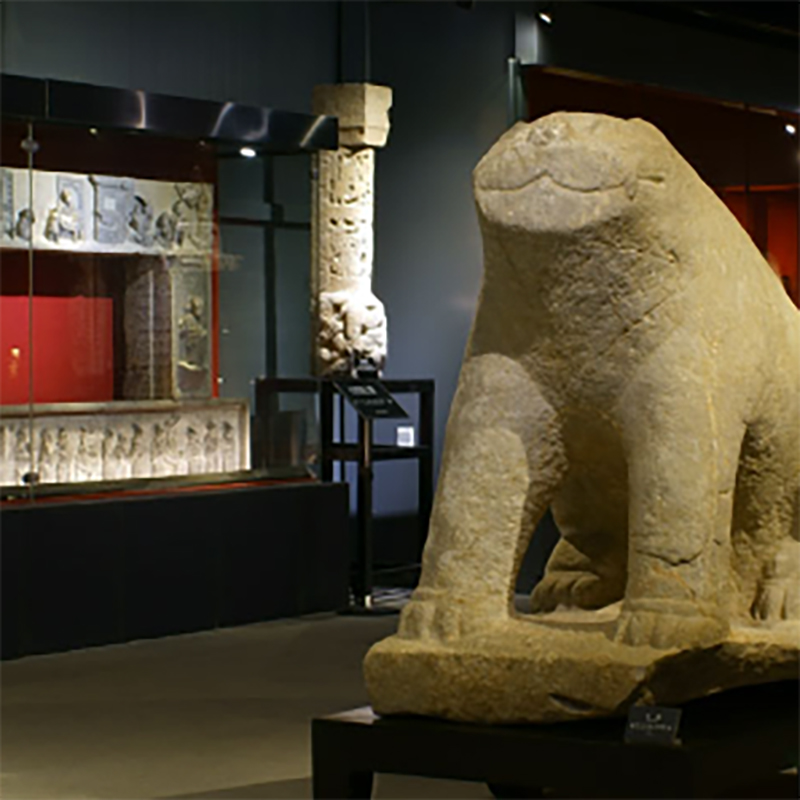 陕西华厦古代艺术博物馆照片与代表馆藏