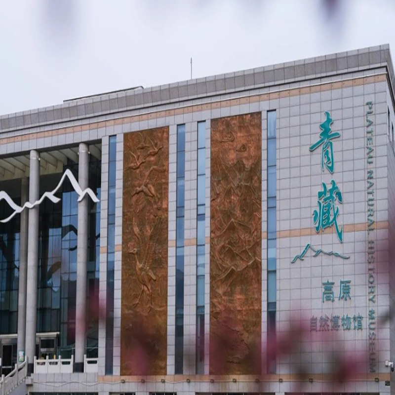 青海青藏高原自然博物馆有限公司照片与代表馆藏