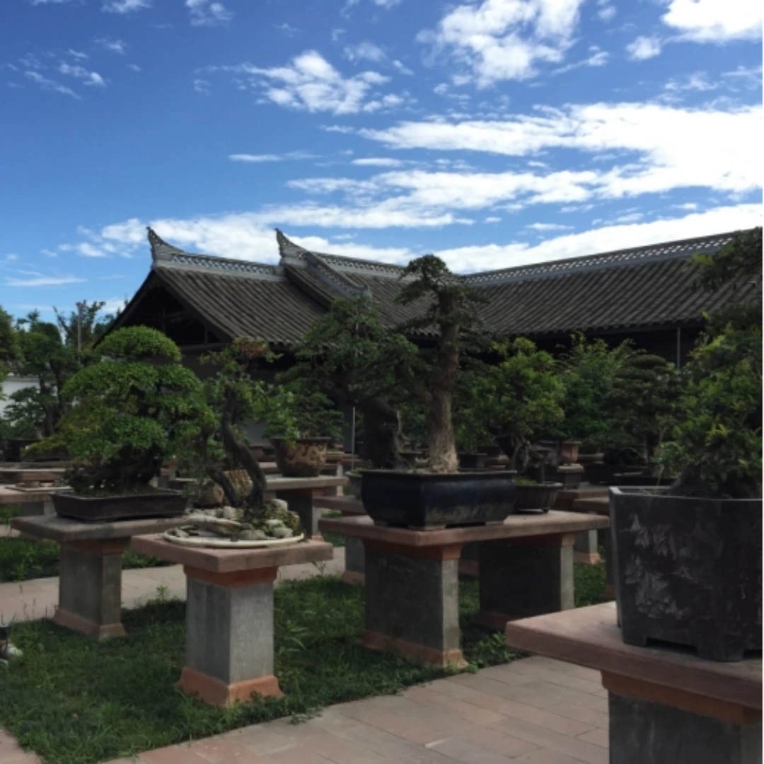 成都三邑川派盆景艺术博物馆照片与代表馆藏