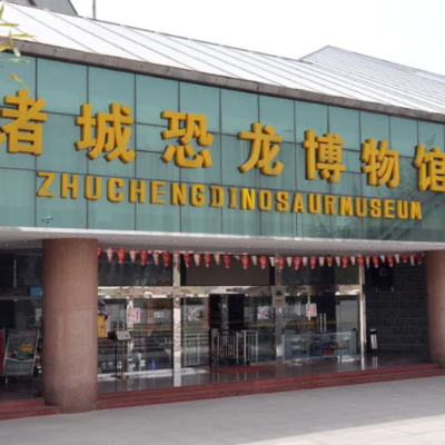 诸城市恐龙博物馆照片与代表馆藏