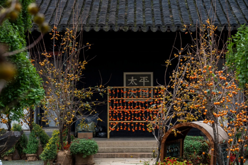苏州博物馆本馆《秋赏》特展现场（一）（忠王府庭院，2026年9月馆方报道）