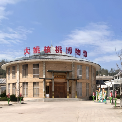 大姚县博物馆（大姚县核桃博物馆）照片与代表馆藏
