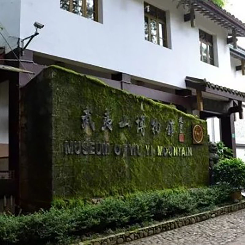 武夷山市博物馆照片与代表馆藏