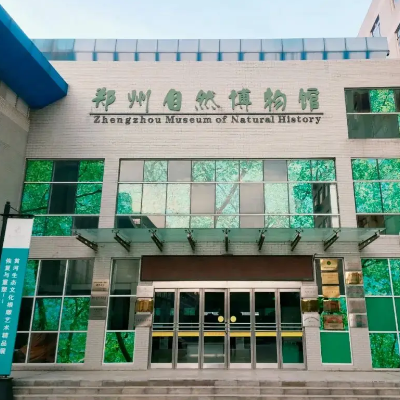 郑州自然博物馆照片与代表馆藏