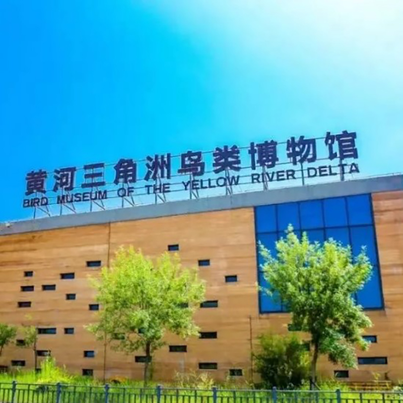 黄河三角洲鸟类博物馆照片与代表馆藏