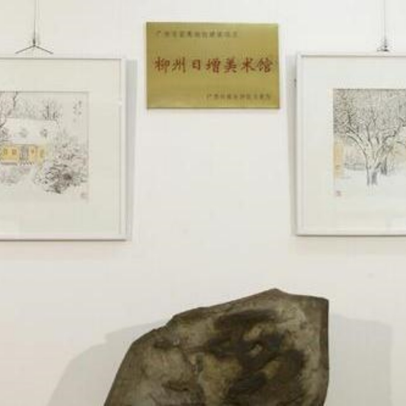 柳州市日增美术馆照片与代表馆藏