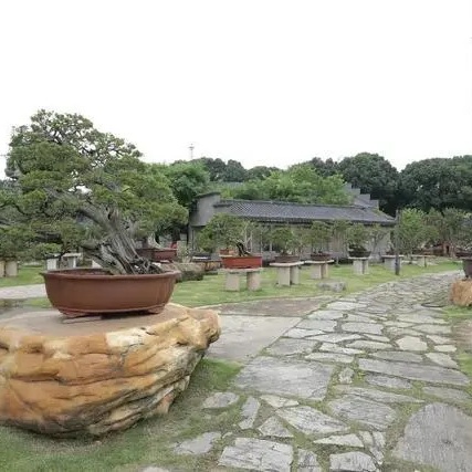 武汉屹苑盆景文化艺术博物馆照片与代表馆藏