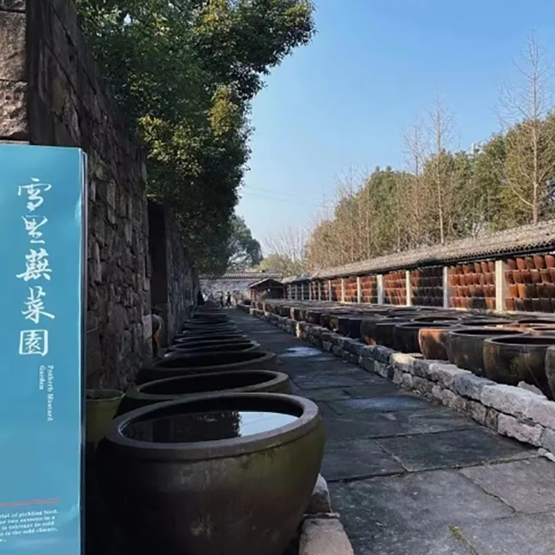 宁波市鄞州区雪菜博物馆照片与代表馆藏