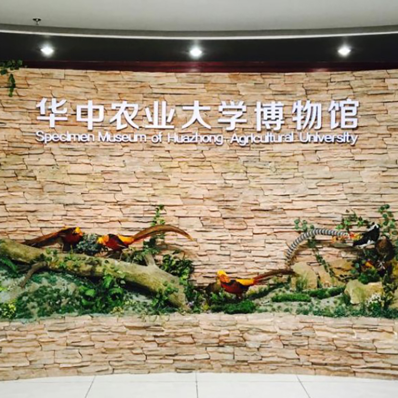 华中农业大学博物馆照片与代表馆藏