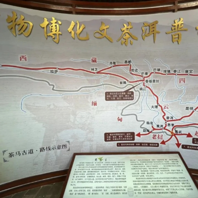 易武普洱茶文化博物馆照片与代表馆藏