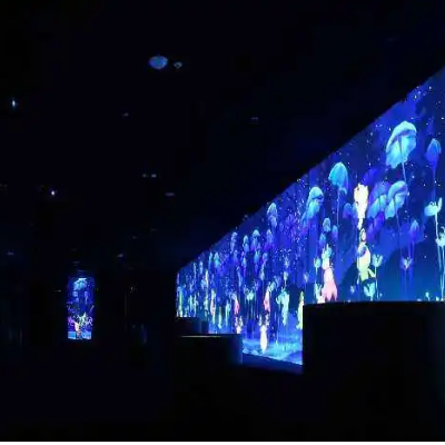 青岛小巨人微海洋科技文化博物馆照片与代表馆藏
