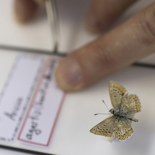 Natural History Museum of Fribourg照片与代表馆藏