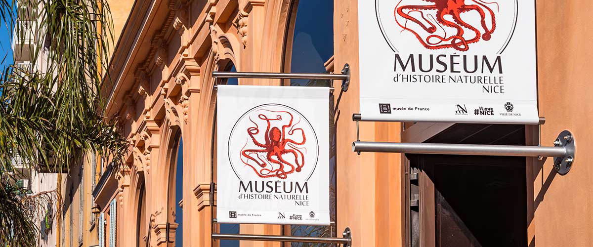 Museum d'Histoire Naturelle照片与代表馆藏